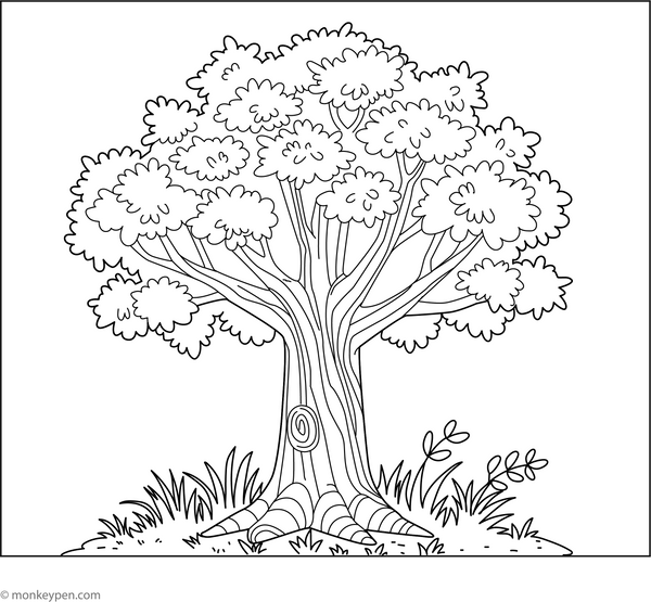Oak Tree Colouring Image