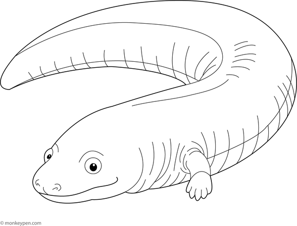 Printable Caecilian Coloring Picture