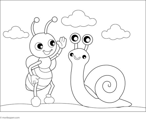Snail Coloring Book