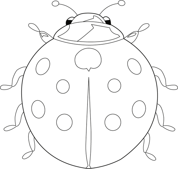 Ladybug coloring page – fun and educational printable for children