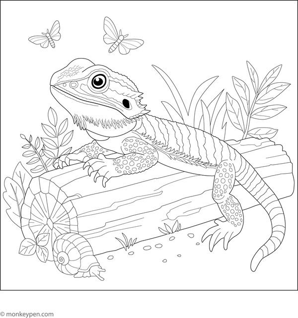 Bearded Dragon On A Log