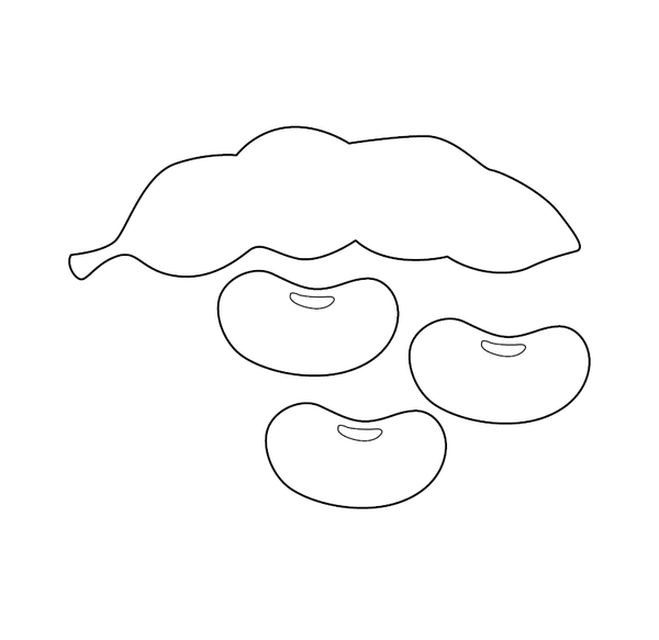 Peas Coloring Page – fun and educational printable for children