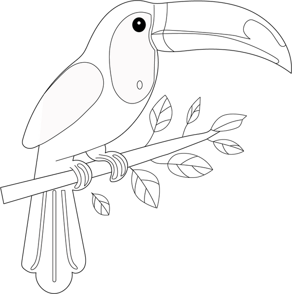 Toucan coloring page – fun and educational printable for children