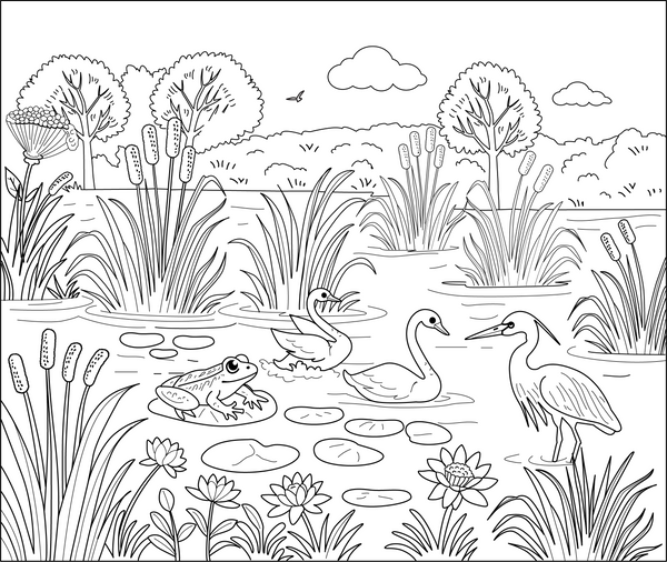 Wetlands And Marshes coloring page – fun and educational printable for children