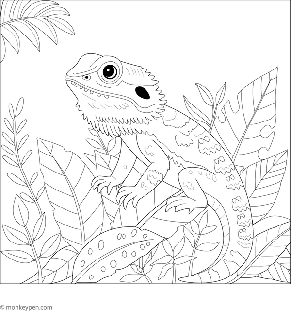 Bearded Dragon in Jungle Adventure Coloring Page