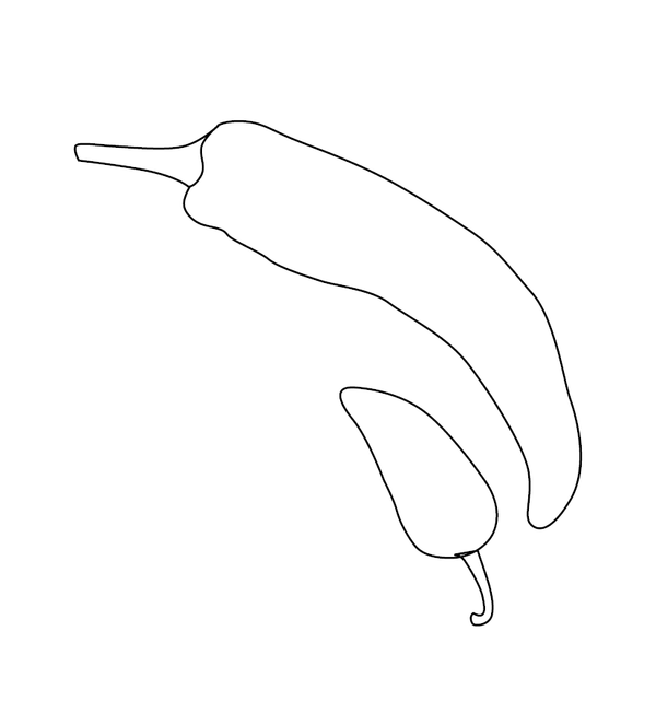 Chilli coloring page – fun and educational printable for children