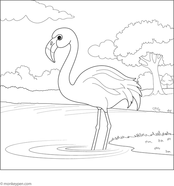 Playful Flamingo Coloring Page