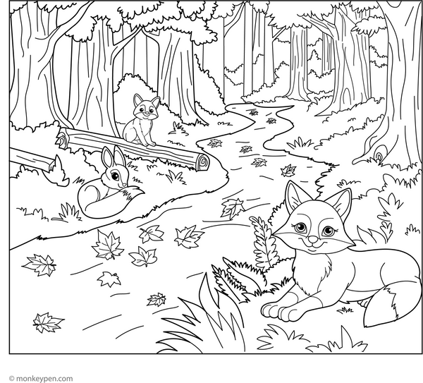 Autumn Fall Forest Coloring Page