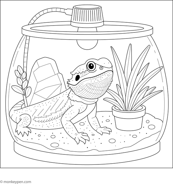 Bearded Dragon in Terrarium Coloring Page