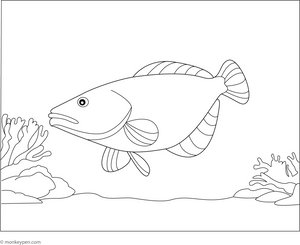 Halibut Fish Coloring Page