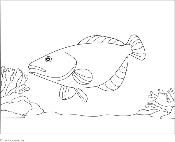 Halibut Fish Coloring Page