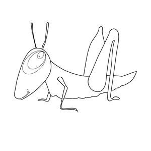 Grasshopper Coloring page – fun and educational printable for children