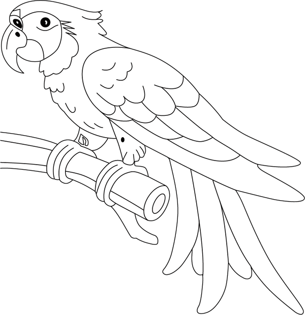 Printable Macaw Coloring Book