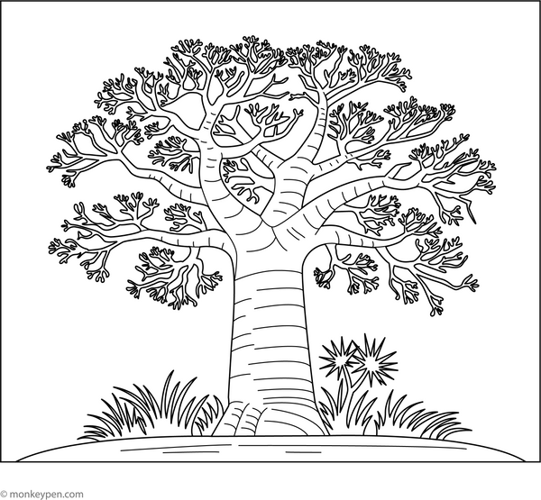 Baobab Tree Coloring Page