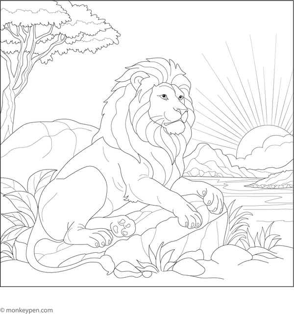 Lion at Sunset Coloring Page