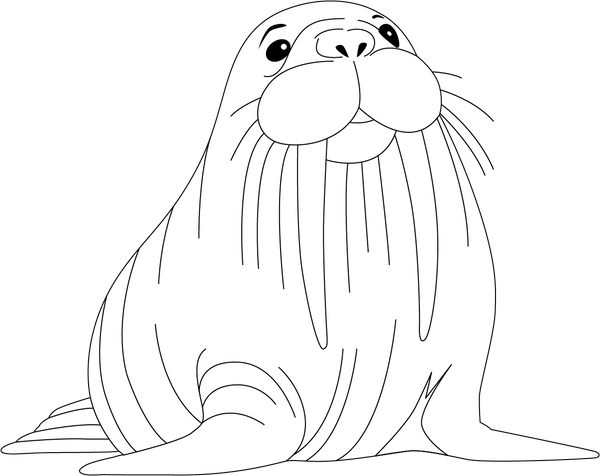 Walrus coloring page – fun and educational printable for children