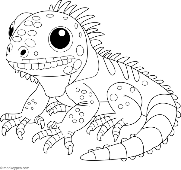 Iguana resting on a branch with surrounding leaves, ready for children to colour.