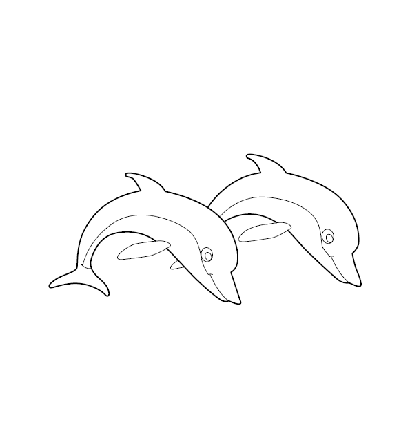 Dolphin Coloring Picture
