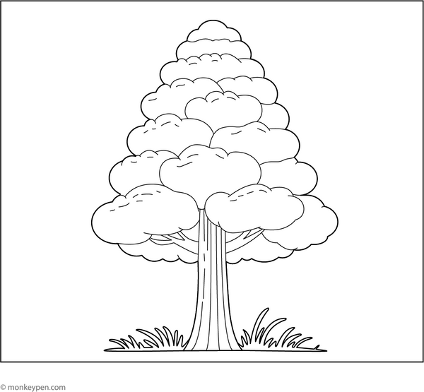Cypress Tree Coloring Page