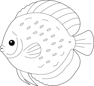 Discus Fish coloring page – printable aquatic animal art for kids