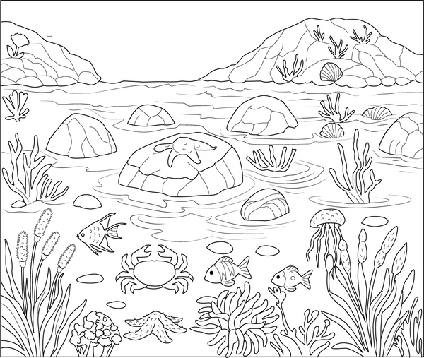 Rocky Shores And Tide Pool coloring page – fun and educational printable for children