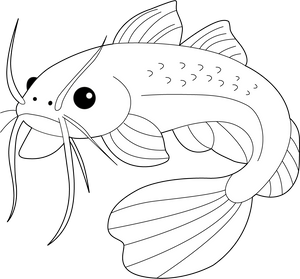 Catfish coloring page – fun and educational printable for children