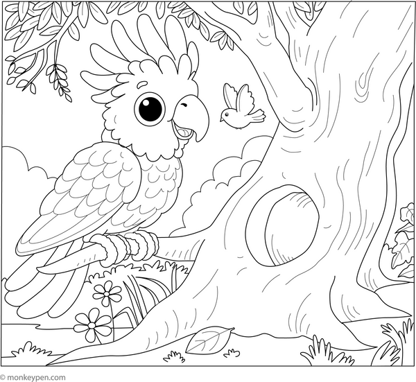 Cockatoo on a Tree Hollow Coloring Page – fun and educational printable for children