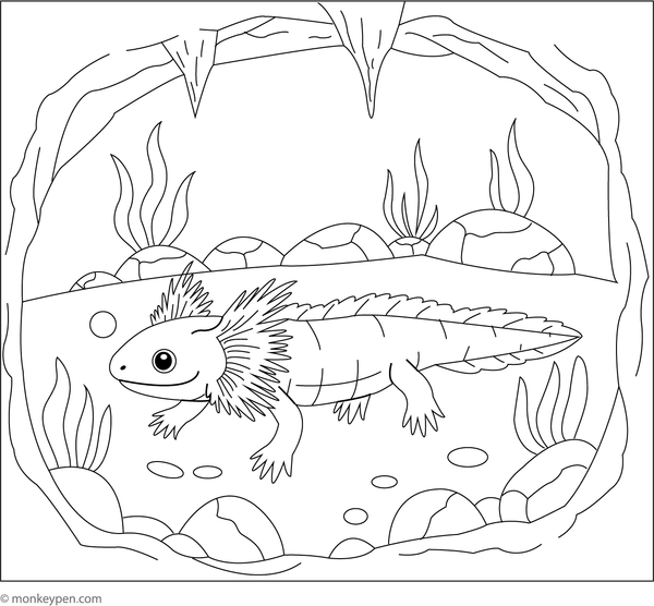 Printable Olm Coloring Image