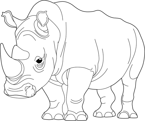 Rhino coloring page – fun and educational printable for children