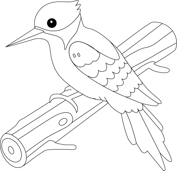 Woodpecker Coloring Page – fun and educational printable for children