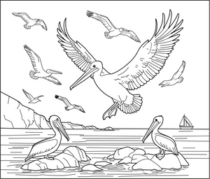 Sea Birds coloring page – fun and educational printable for childrren