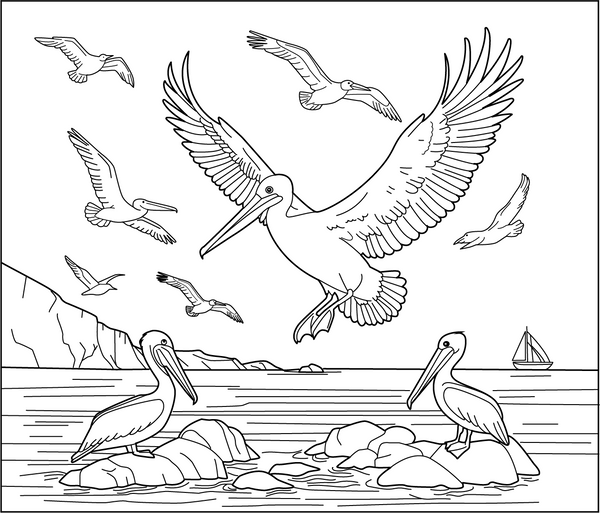 Sea Birds coloring page – fun and educational printable for childrren