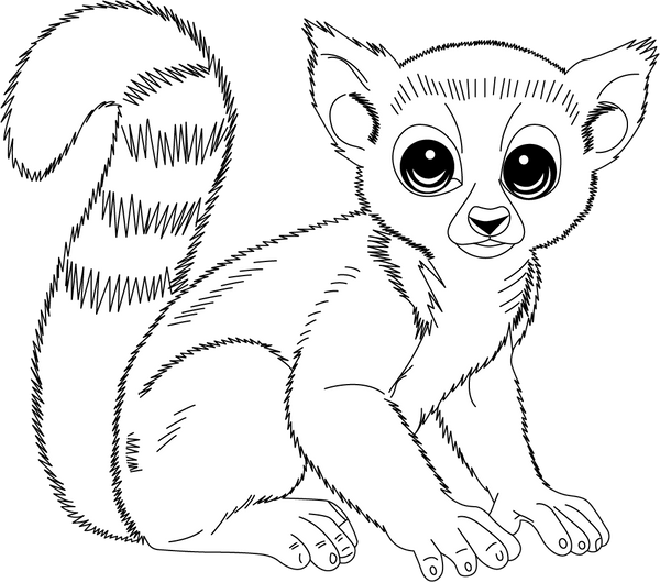 Lemur coloring page – fun and educational printable for children