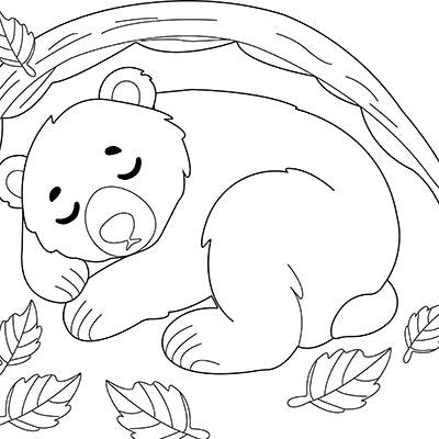Bear Coloring Book PDF