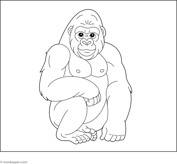 Mountain Gorilla Coloring Page