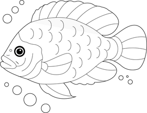 Tilapia coloring page – fun and educational printable for children