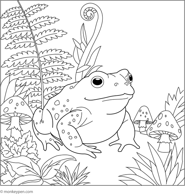 Printable Toad  Coloring Page