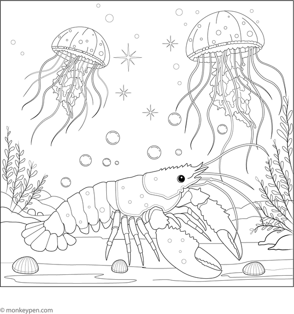 Lobster and Jellyfish Lantern Coloring Page – fun and educational printable for children
