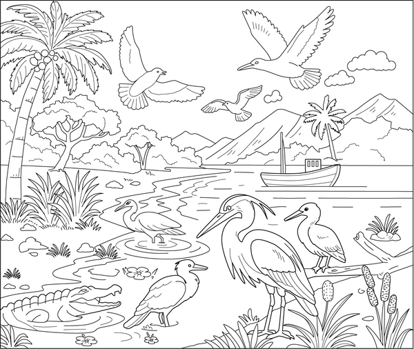 Birds In Their Habitats coloring page – fun and educational printable for children