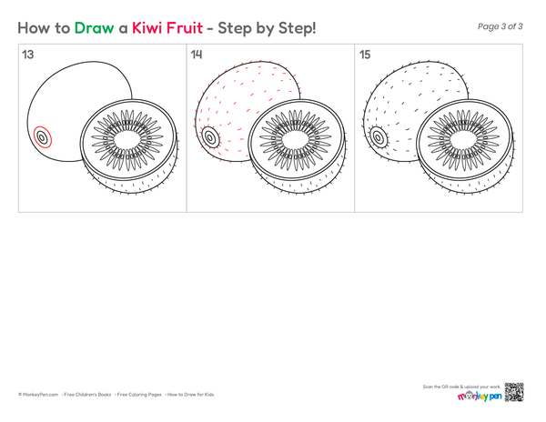Simple kiwi fruit sketch for coloring