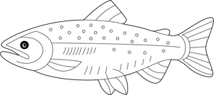 Salmon coloring page – fun and educational printable for children
