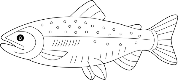 Salmon coloring page – fun and educational printable for children