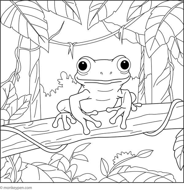 Printable Tree Frog Coloring Image for Kids
