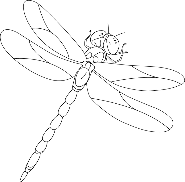 Dragon Fly coloring page – fun and educational printable for children