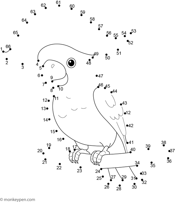 Connecting the dots reveals a tropical cockatoo with a crest and curved beak in this engaging activity for kids.