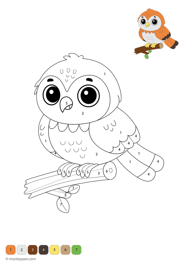 Downloadable color-by-number page featuring a cute falcon in flight with numbered feathers, beak, and wings—a free printable that helps kids practice number recognition while exploring birds of prey creatively.