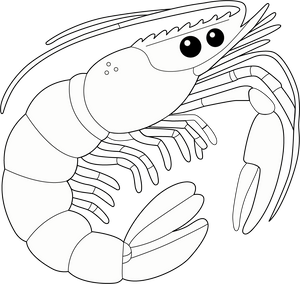 Prawn coloring page – fun and educational printable for children