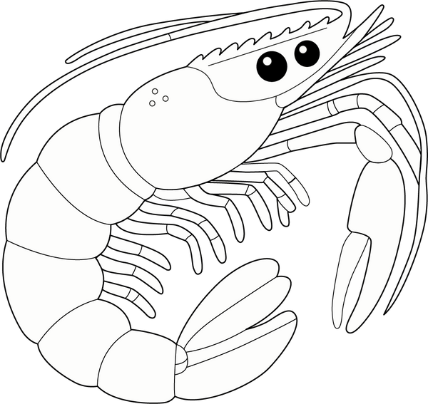 Prawn coloring page – fun and educational printable for children