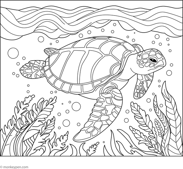 Leatherback Sea Turtle Coloring Page