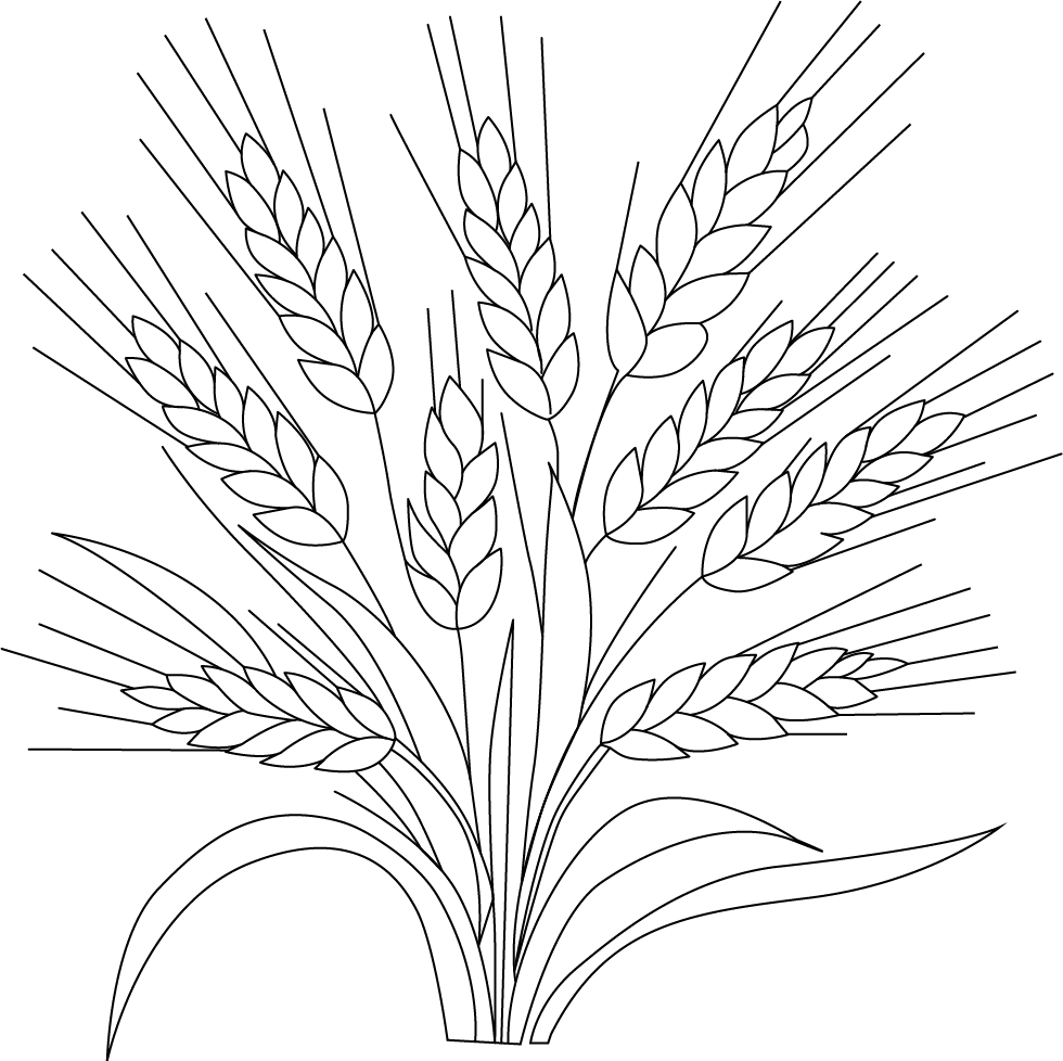 Printable Wheat Coloring Page
